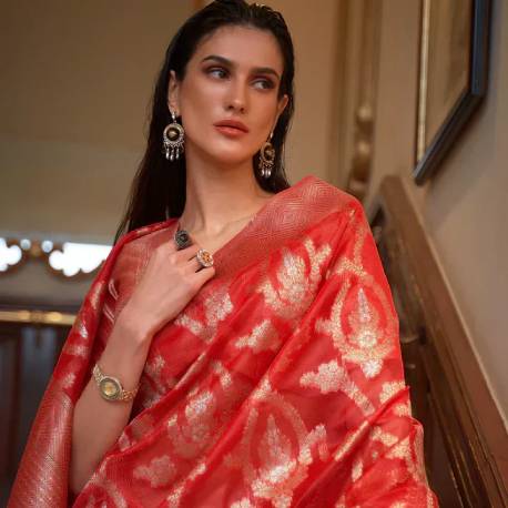 Expert tips for buying authentic handloom Banarasi sarees online from Dress and Dazzle.