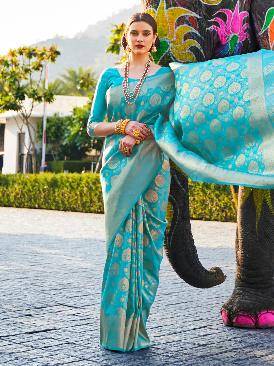 Kanjivaram Silk Saree