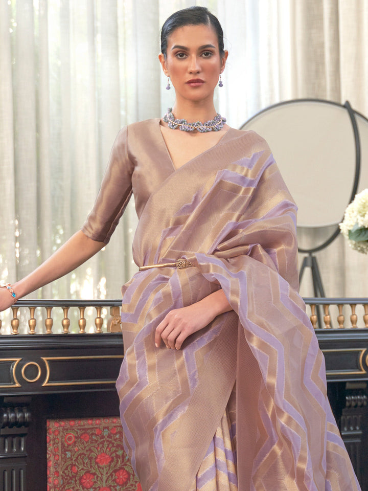 Organza Silk Saree