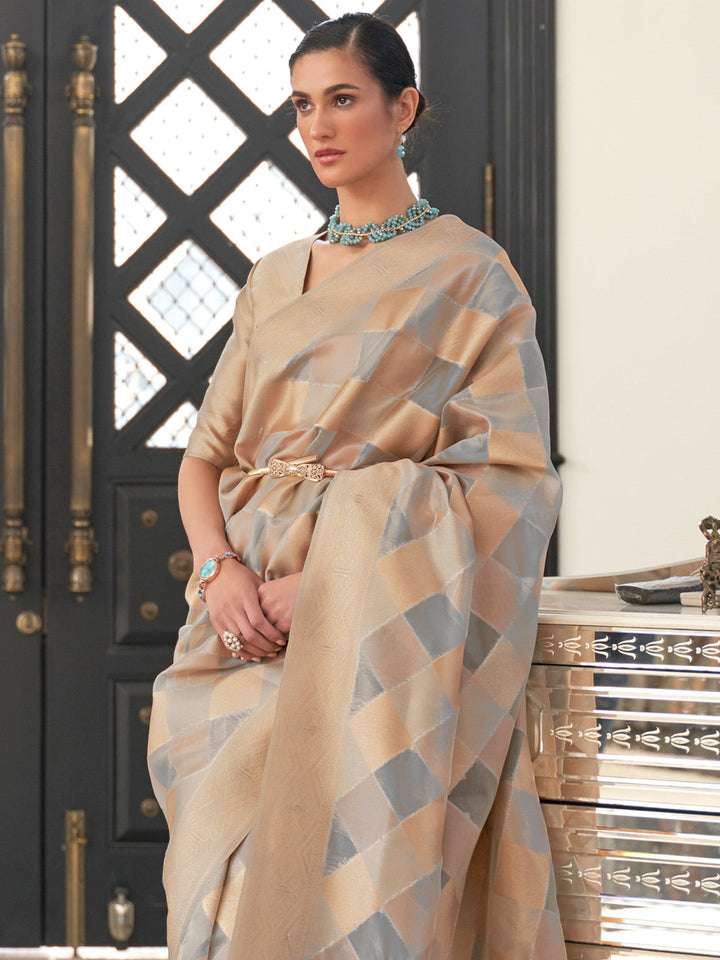 Organza Silk Saree