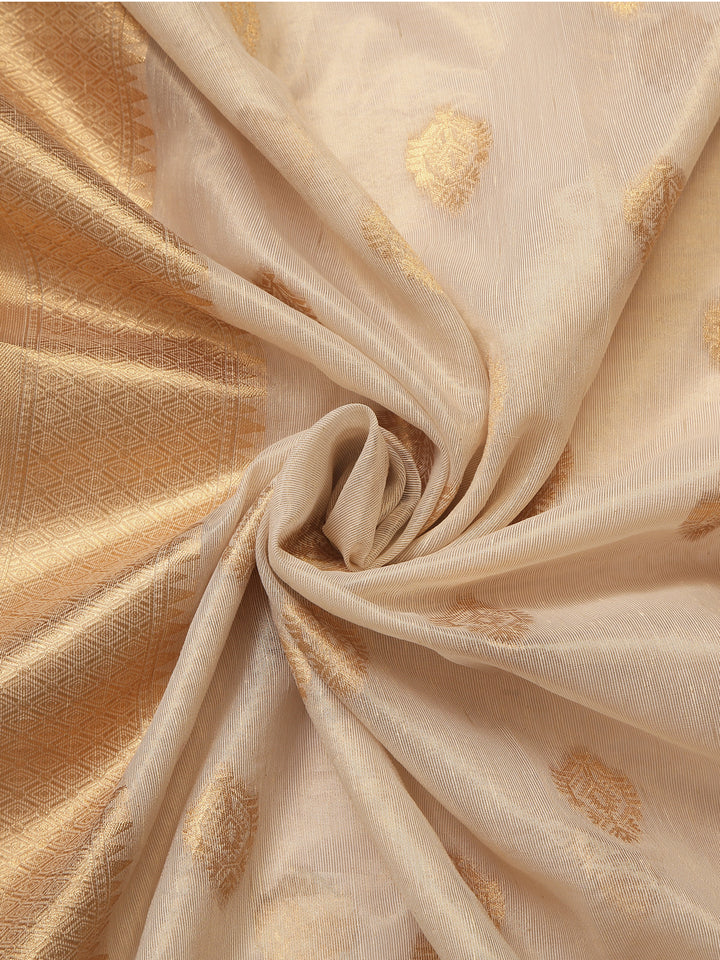 Organza Silk Saree