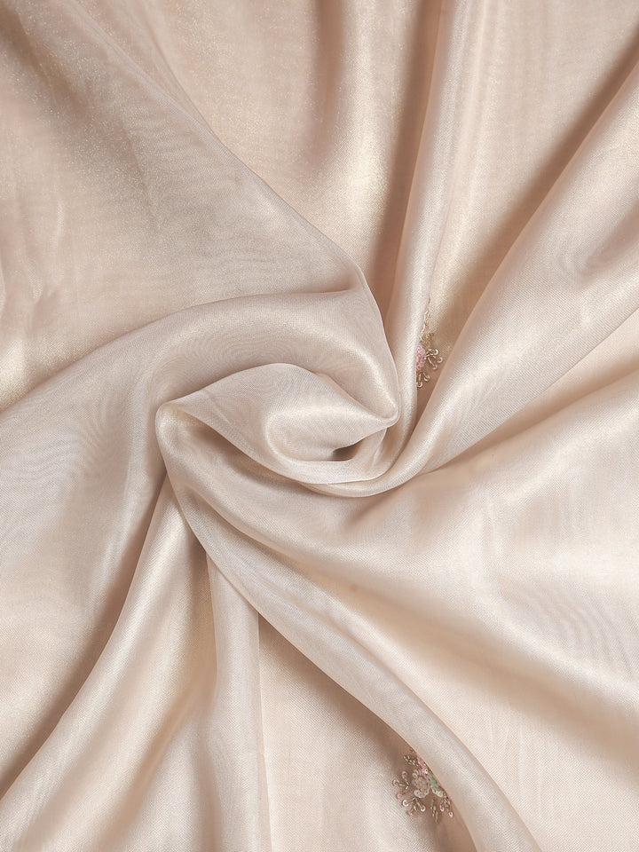 Silver Organza Tissue Saree