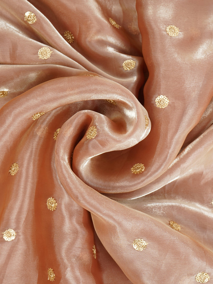 Peach Gold Tissue Saree