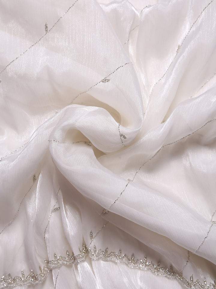 White Organza Tissue Saree