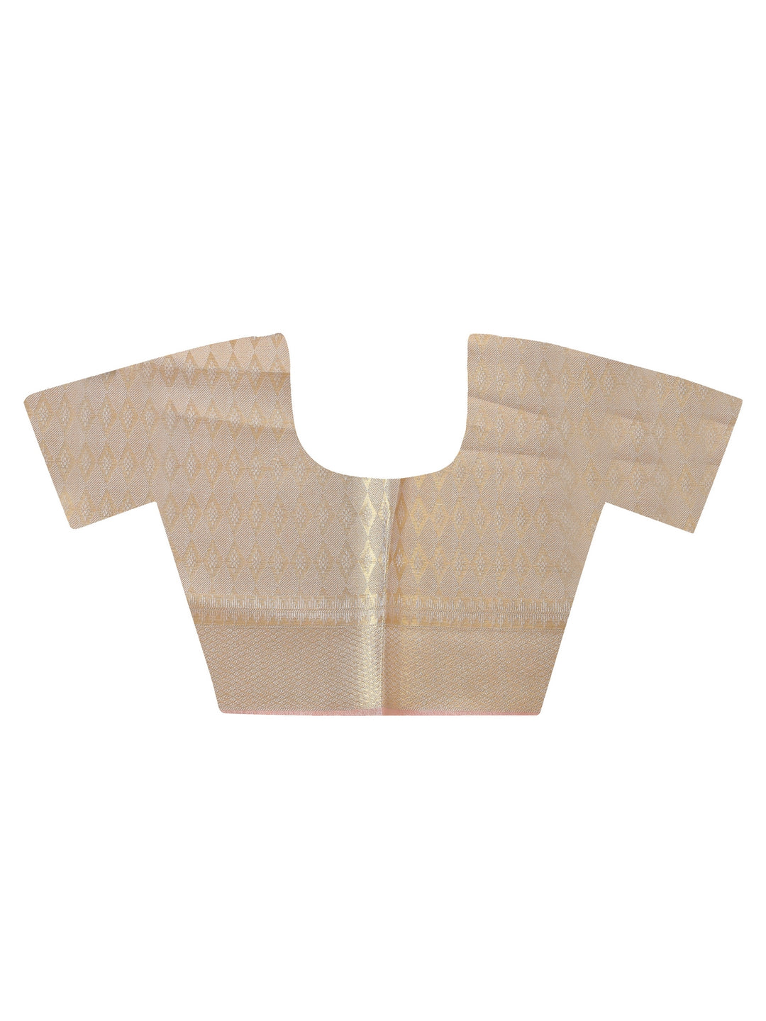 Tissue Organza Saree