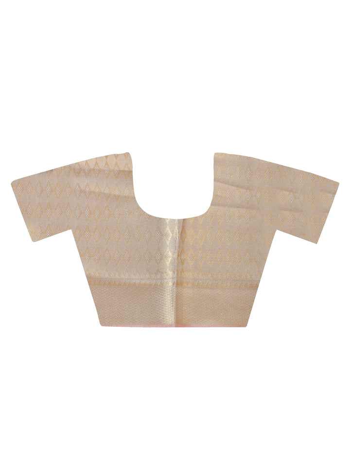 Tissue Organza Saree