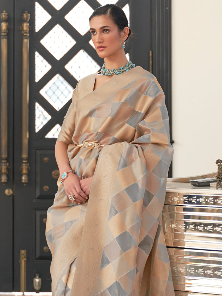 Organza Silk Saree