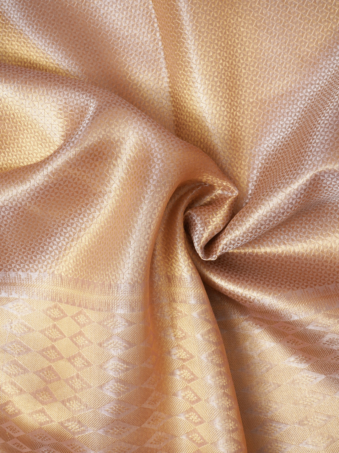 Tissue Organza Saree