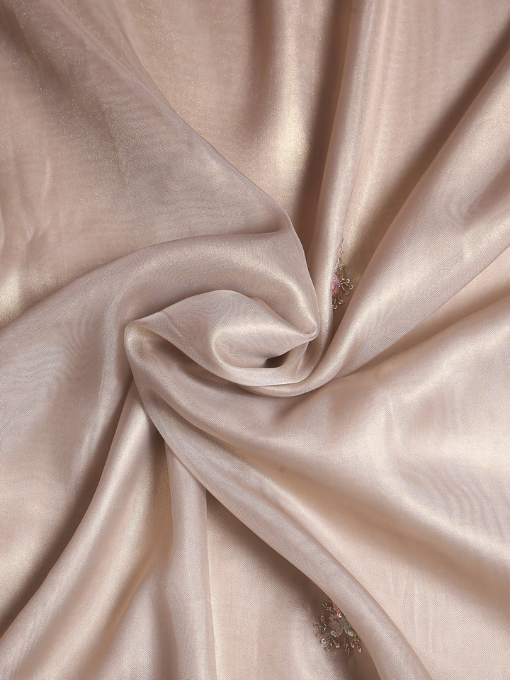 Silver Organza Tissue Saree