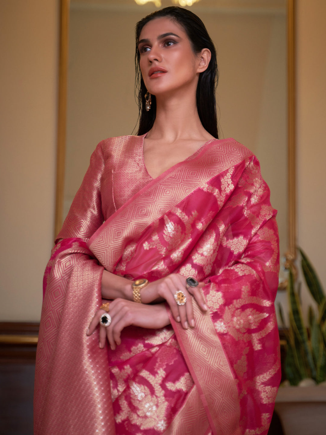 Banarasi Organza Saree