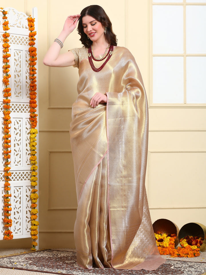 Tissue Organza Saree