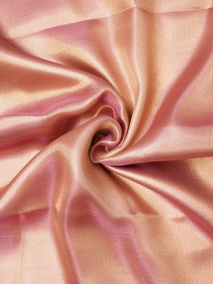 Tissue Organza Saree