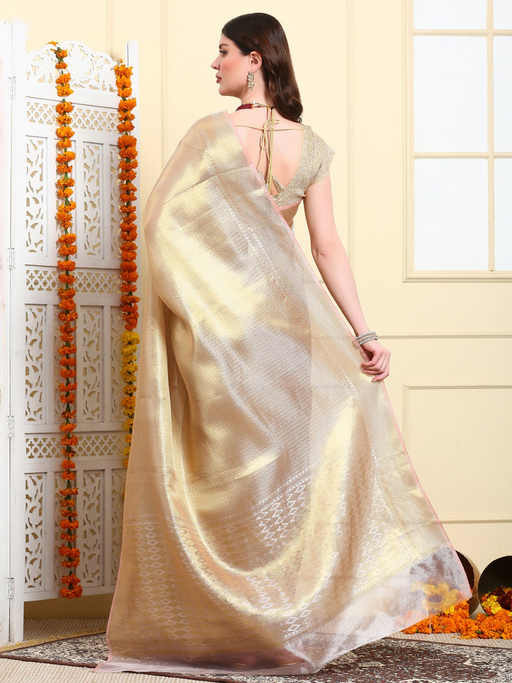 Tissue Organza Saree